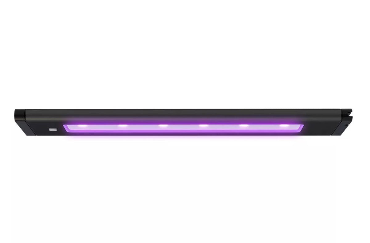 Aqua Illumination Blade Coral Glow LED - 48 Inch