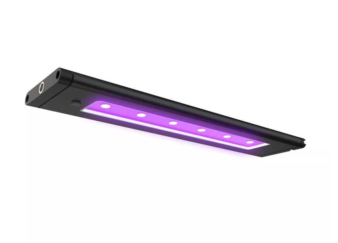 Aqua Illumination Blade Coral Glow LED - 48 Inch