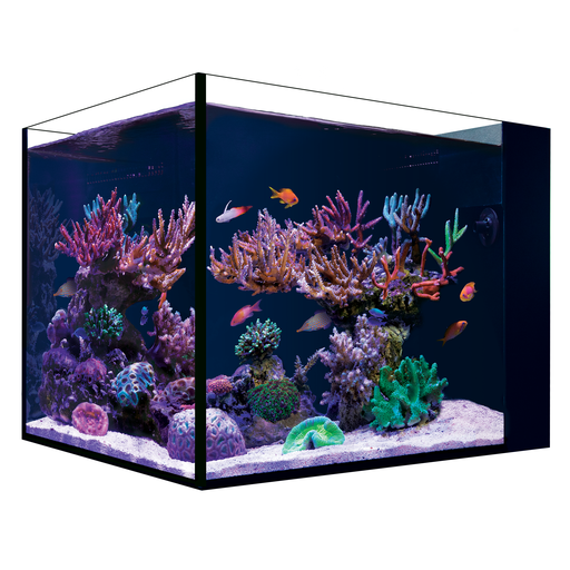 Red Sea Desktop Peninsula Tank - With Black Cabinet