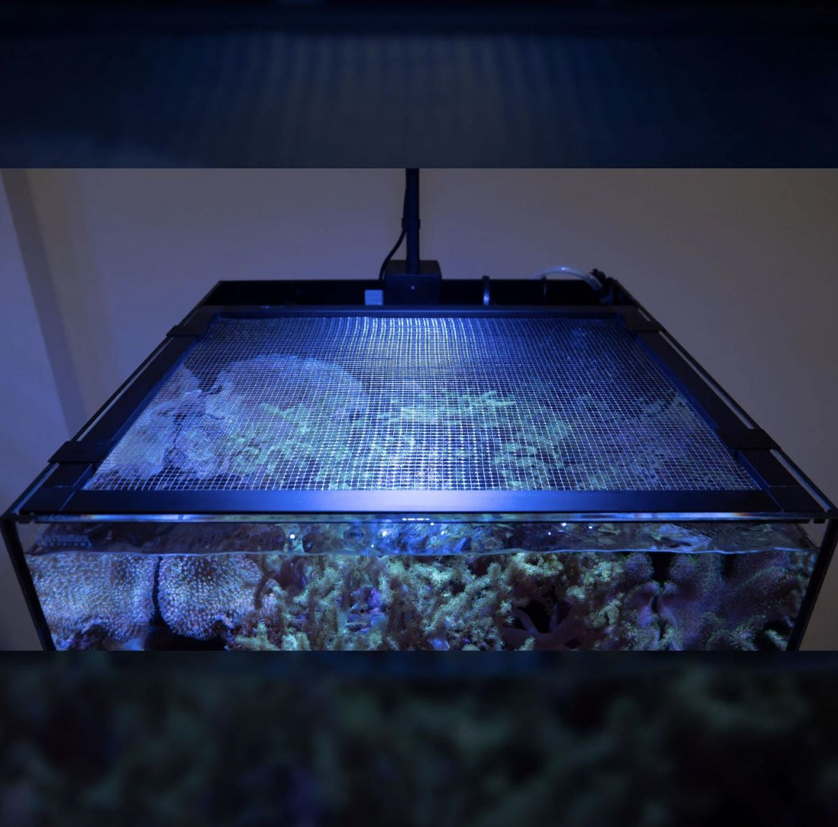 Waterbox Mesh Lid