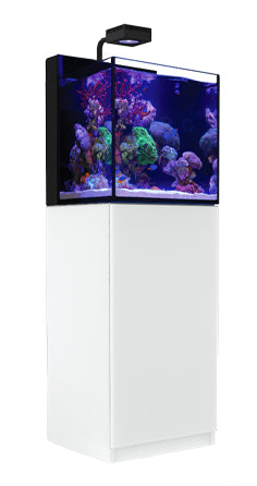 Red Sea Max Nano XL G2 w/ReefLED 60 - White