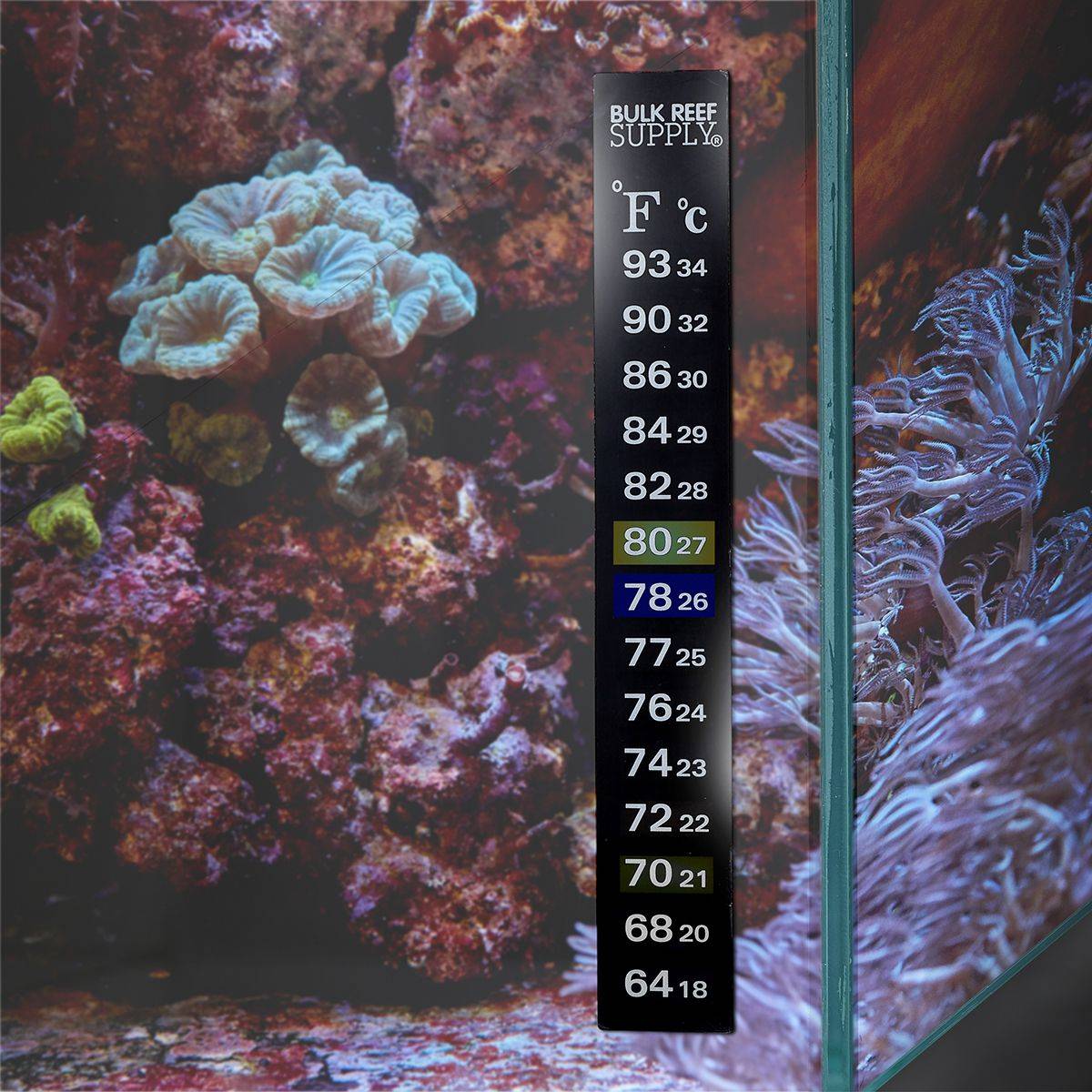 BRS Stick-On Thermometer - Bulk Reef Supply